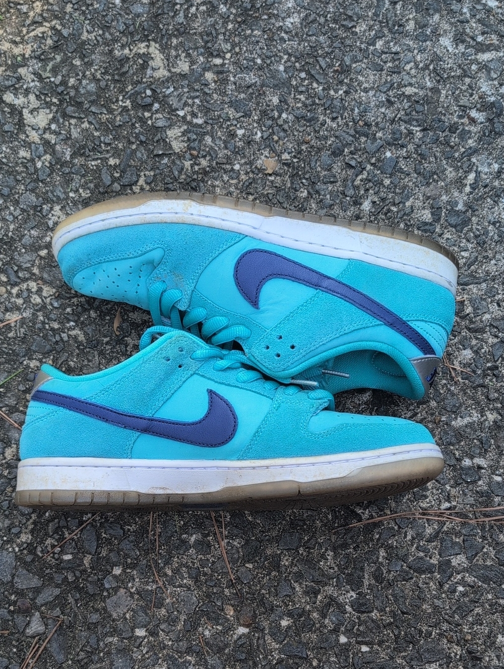 Nike SB dunk Low Pro Blue Fury  Sneakers